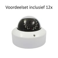 CHD-CS12D2 - 16 kanaals NVR inclusief 12 CHD-D2 IP camera's