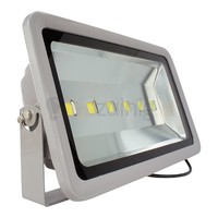 300 watt led bouwlamp met 25.000 lumen - 6500K