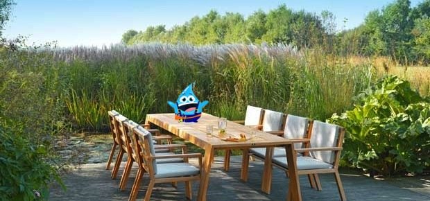 Privé: Voorjaar! Tijd voor het onderhouden van uw tuinhout.