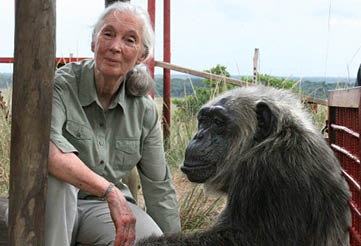 Partner Jane Goodall Institut Deutschland
