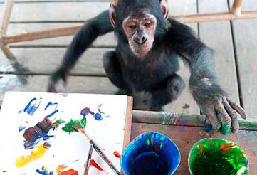 Painting Monkeys on Tschimpounga