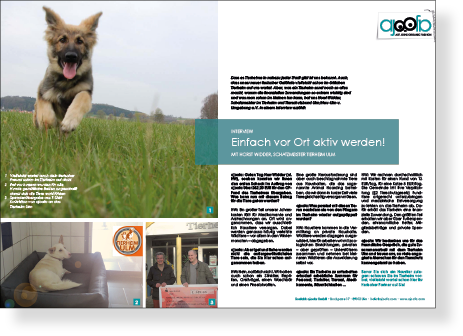 Icon Tierheim Ulm Interview