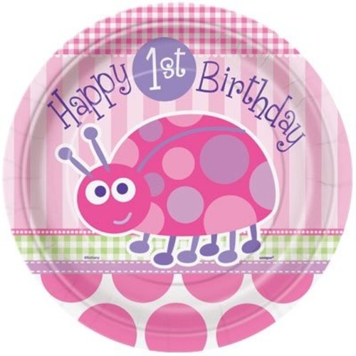 Grote borden eerste verjaardag lieveheersbeestje roze 8x Grote borden eerste verjaardag lieveheersbeestje roze 8x
