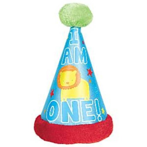 fun to be one feesthoedje (1 stuks) fun to be one feesthoedje (1 stuks)