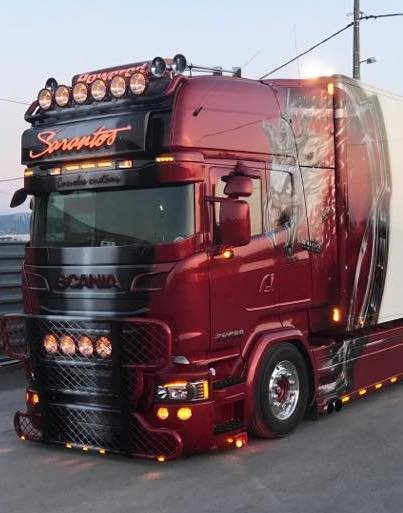 Coles Custom Windscreen Guard for Scania R and Streamline - Go-in-Style.nl