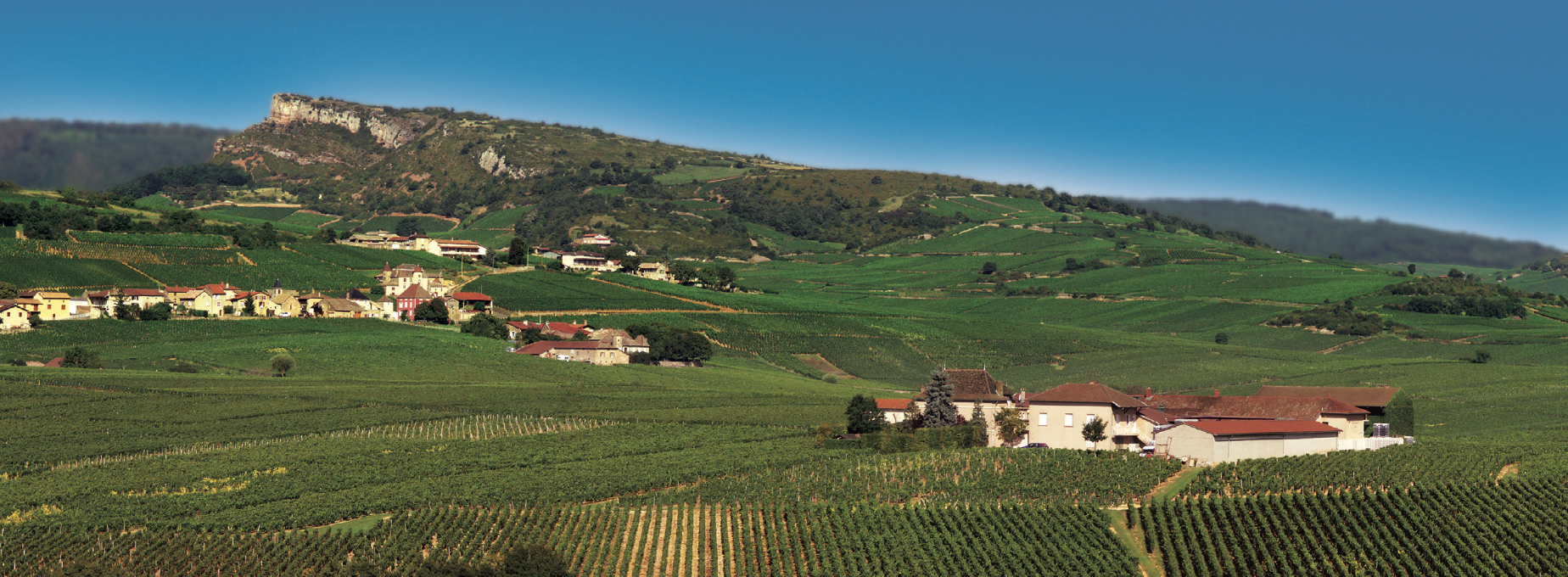 Bourgogne Maçon wijn kopen online Burrier Beauregard