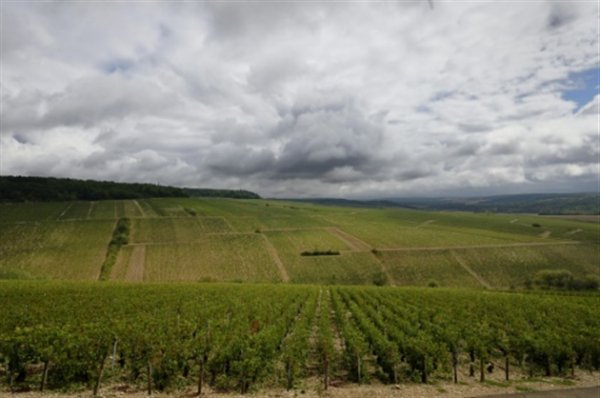 Hagel treft Chablis