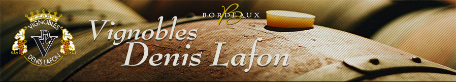 Bordeaux Blaye Lafon wijn kopen