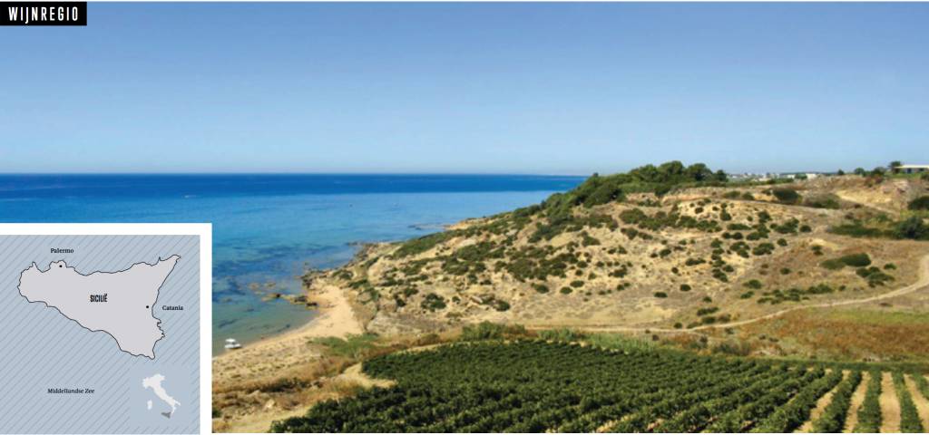Sicilië - Wijngaard van Italië