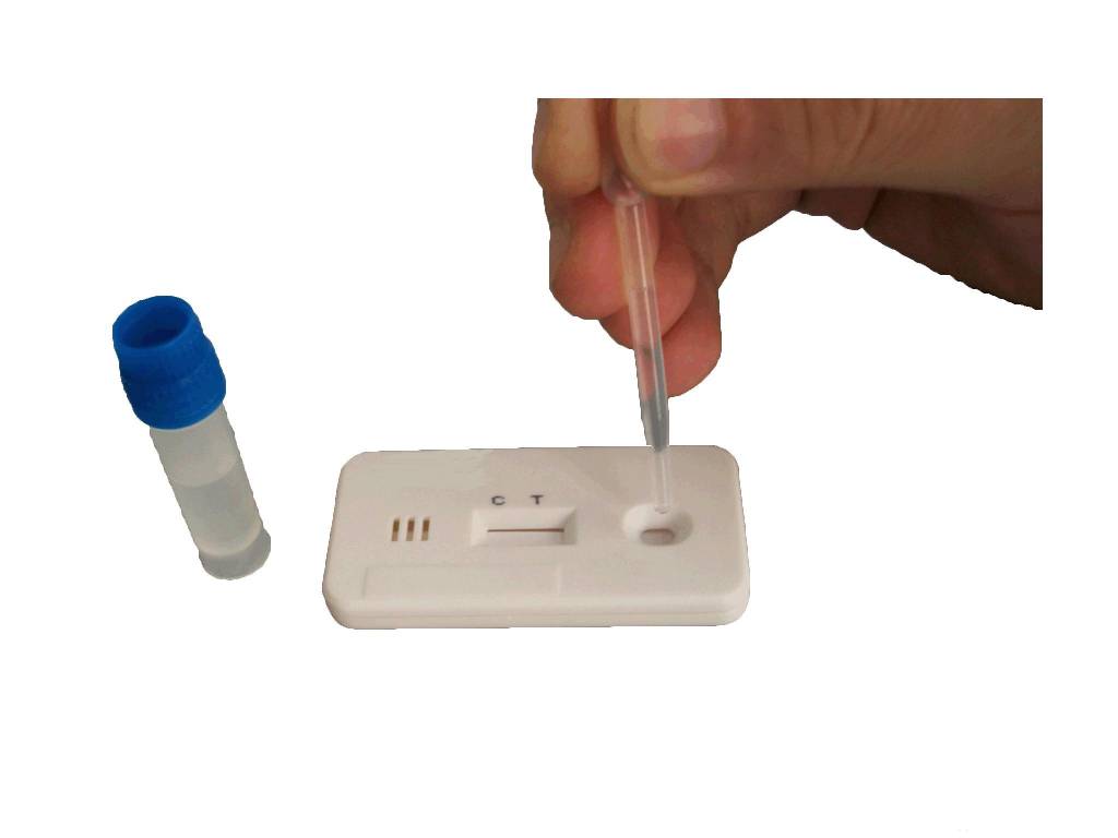 giardia-ag-rapid-test-giardia-snaptest-voot-thuis-gebruik-wieran