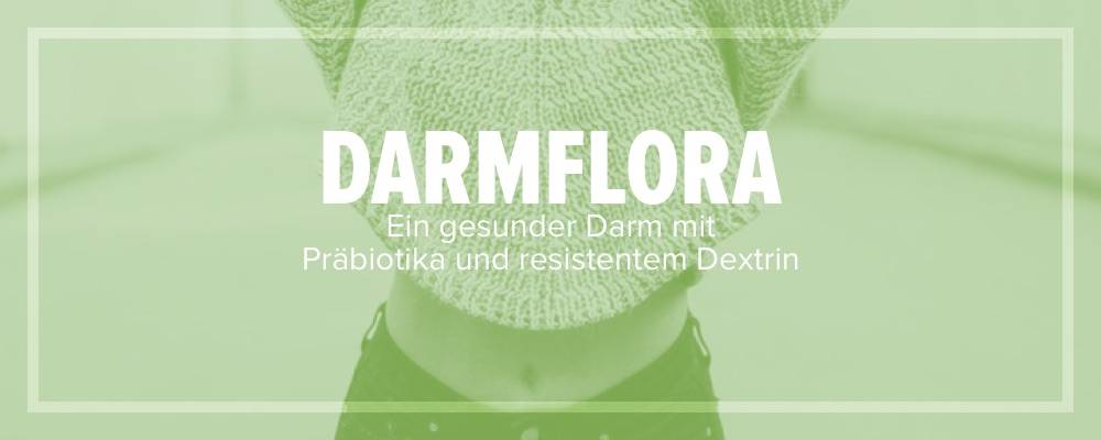 Ein gesunder Darm mit Präbiotika und resistentem Dextrin