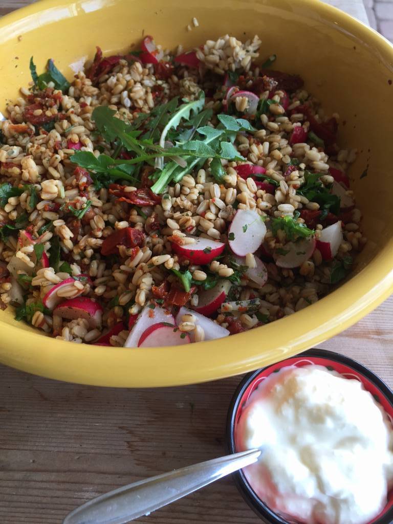 Naakte haver salade met groene voorjaarskruiden