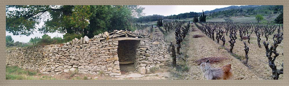 domaine minervois wijngaard