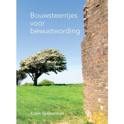 Bouwsteentjes voor bewustwording - Karin Spijkerman