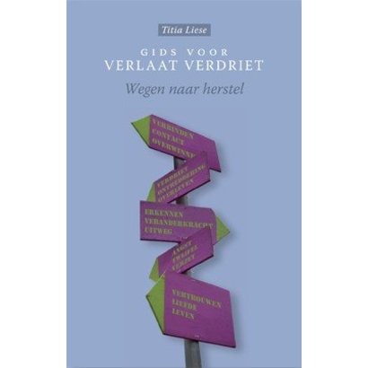 Gids voor verlaat verdriet - Titia Liese