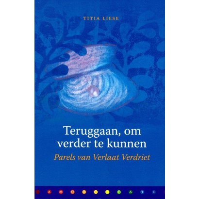 Teruggaan, om verder te kunnen - Titia Liese