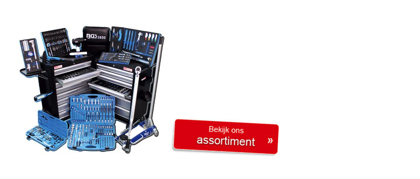 BGS gereedschap online kopen?