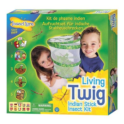 Stick insects Nursery