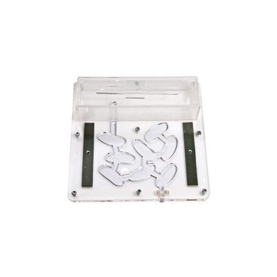 Acrylic Ant Farm 20x20cm including arena