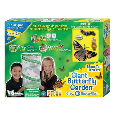 Giant Butterfly kit