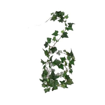 Art Ivy