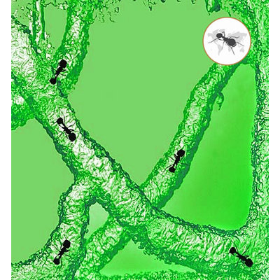 Gel refill green