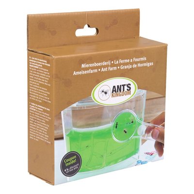 Ant farm gel including led light base and discount coupon