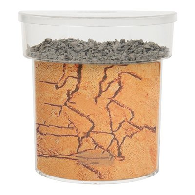 Ant's Kingdom T-Farm including Lasius niger colony 10+