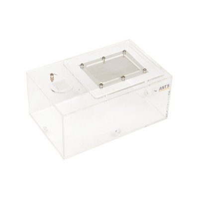 Arena L 19x12x8,5