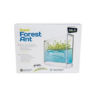 Antquarium Antfarm Forest