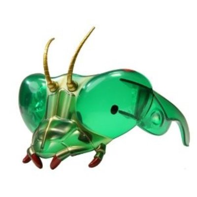 Bidsprinkhaan Masker