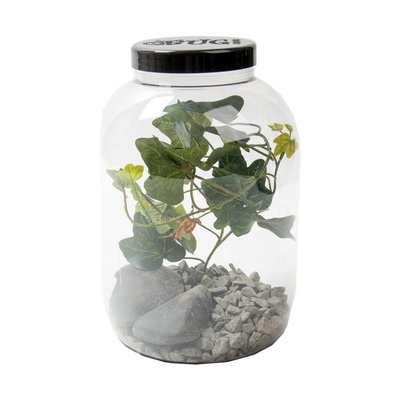 BUGzzz L insectenverblijf 5000ml