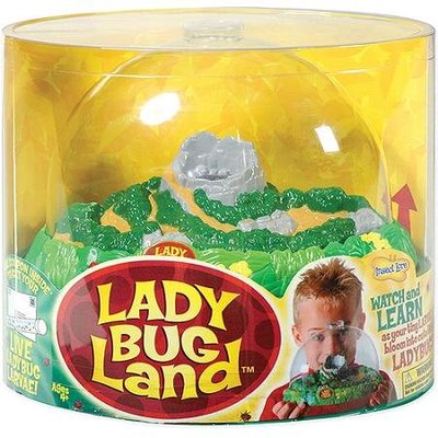 Insecten verblijf