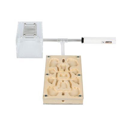 Master Major Set - inclusief Lasius niger 10+