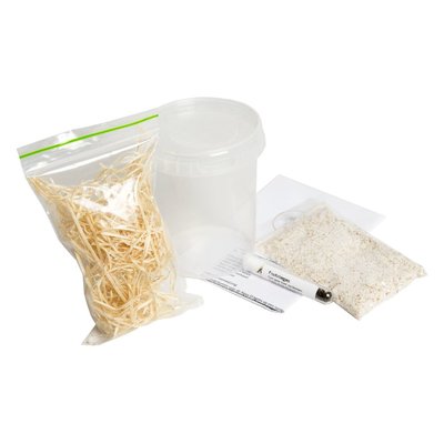 Kweekset fruitvliegen refill (zonder kweekbak)
