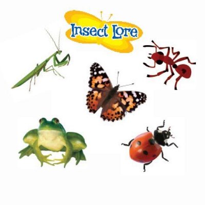 Insecten plak tattoos