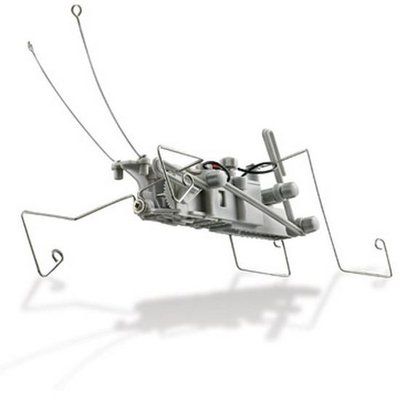 Zelfbouw Robot Insect