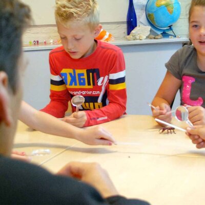 Workshop van de mierenboer