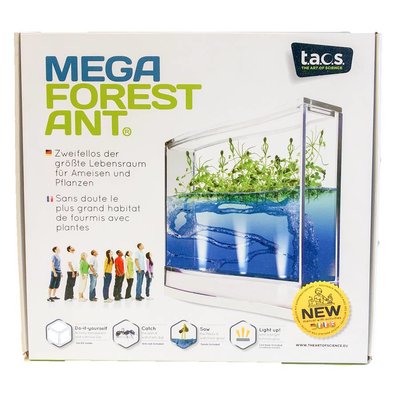 Antquarium Mega Mierenboerderij Forest