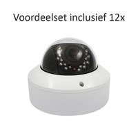 CHD-CS12D2 - 16 kanaals NVR inclusief 12 CHD-D2 IP camera's