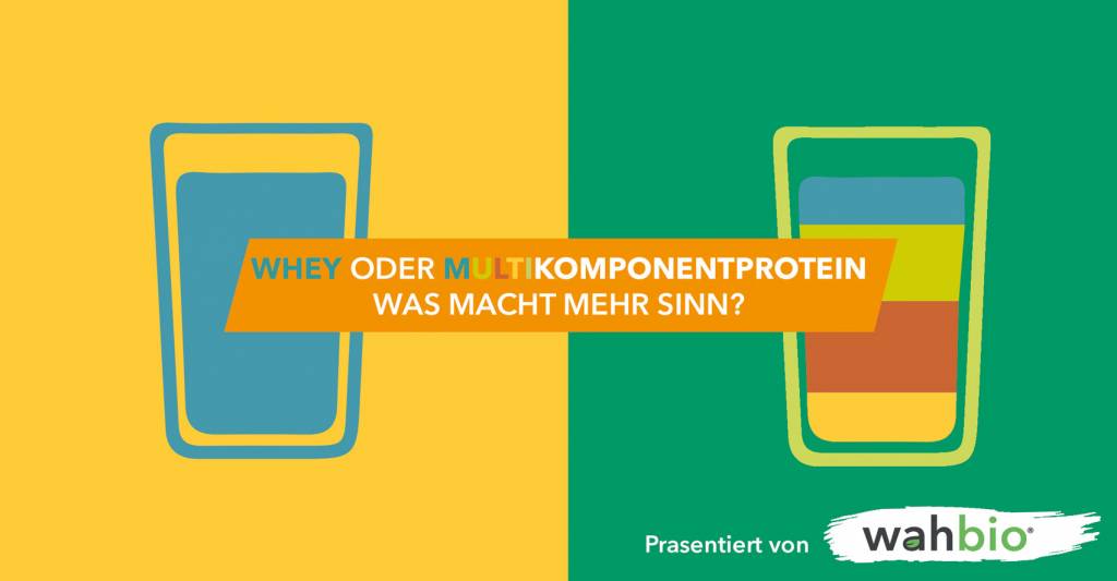 Whey oder Multikomponenten-Protein?