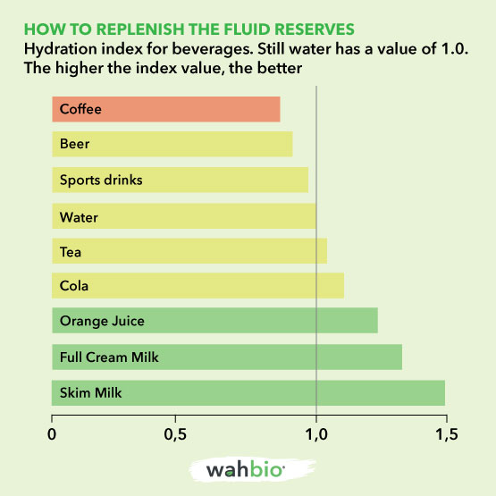 Rehydration index of fluids