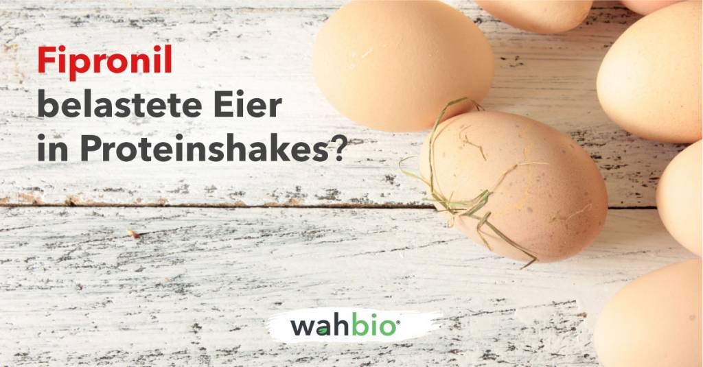 Skandal um Fipronil belastete Eier