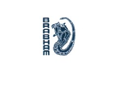 Brabham modelauto's | schaalmodellen | miniaturen