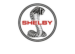 Shelby modelauto's | Shelby schaalmodellen