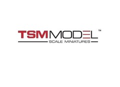 True Scale Miniatures (TSM) Modellautos | True Scale Miniatures (TSM) Modelle
