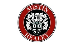 Austin Healey modelauto's & schaalmodellen