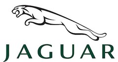Jaguar Modellautos & Modelle 1:24 (1/24)