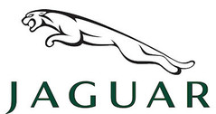 Jaguar modelauto's & schaalmodellen 1:18 (1/18)