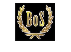 BoS Models modelauto's & schaalmodellen